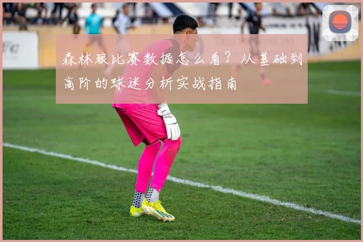 森林狼比赛数据怎么看？从基础到高阶的球迷分析实战指南
