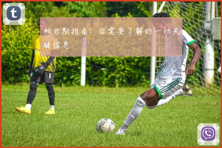 帕尔默指南:你需要了解的一切关键信息