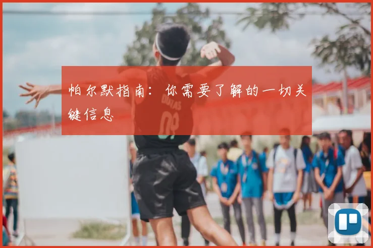 帕尔默指南:你需要了解的一切关键信息