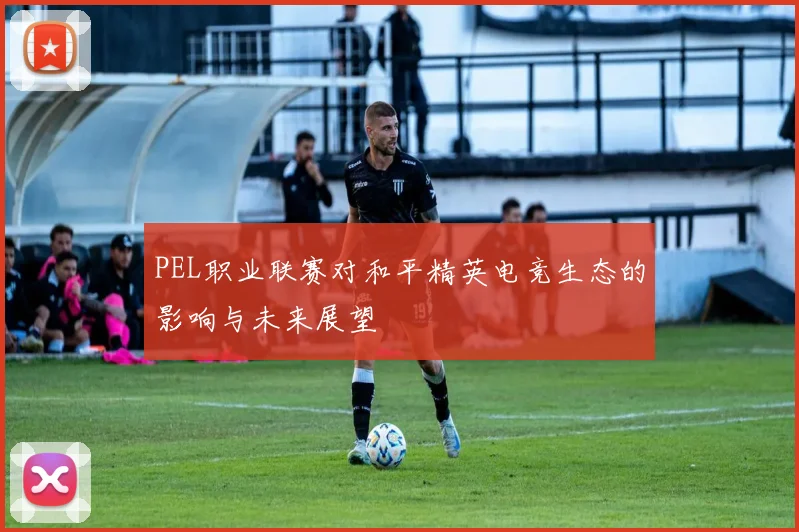 PEL职业联赛对和平精英电竞生态的影响与未来展望