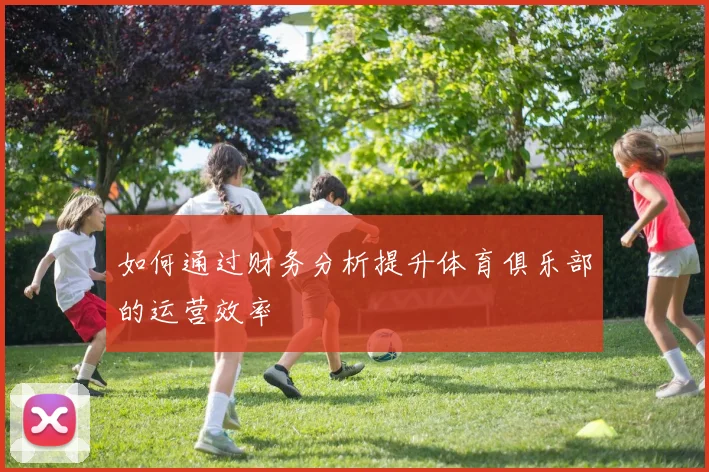 如何通过财务分析提升体育俱乐部的运营效率