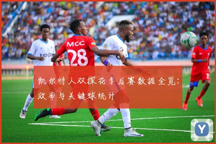 凯尔特人双探花季后赛数据全览:效率与关键球统计