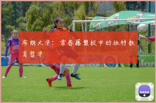 布朗大学:常春藤盟校中的独特教育哲学