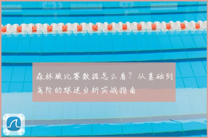 森林狼比赛数据怎么看？从基础到高阶的球迷分析实战指南